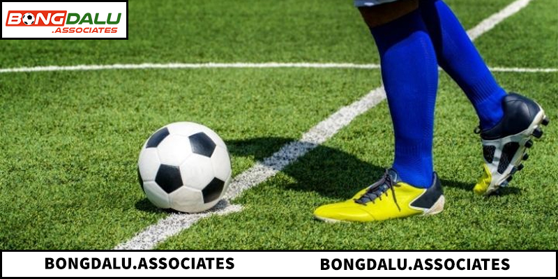 Phương pháp tính lợi nhuận đơn giản dựa trên tỷ lệ Odds