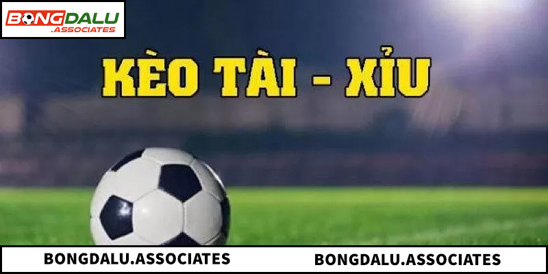 Tìm hiểu khái niệm và quy luật vận hành của tỷ lệ này